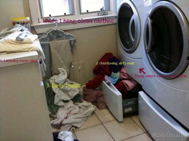 [laundry 12[9].jpg]