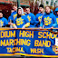 100410_daffodil-parade_054.jpg