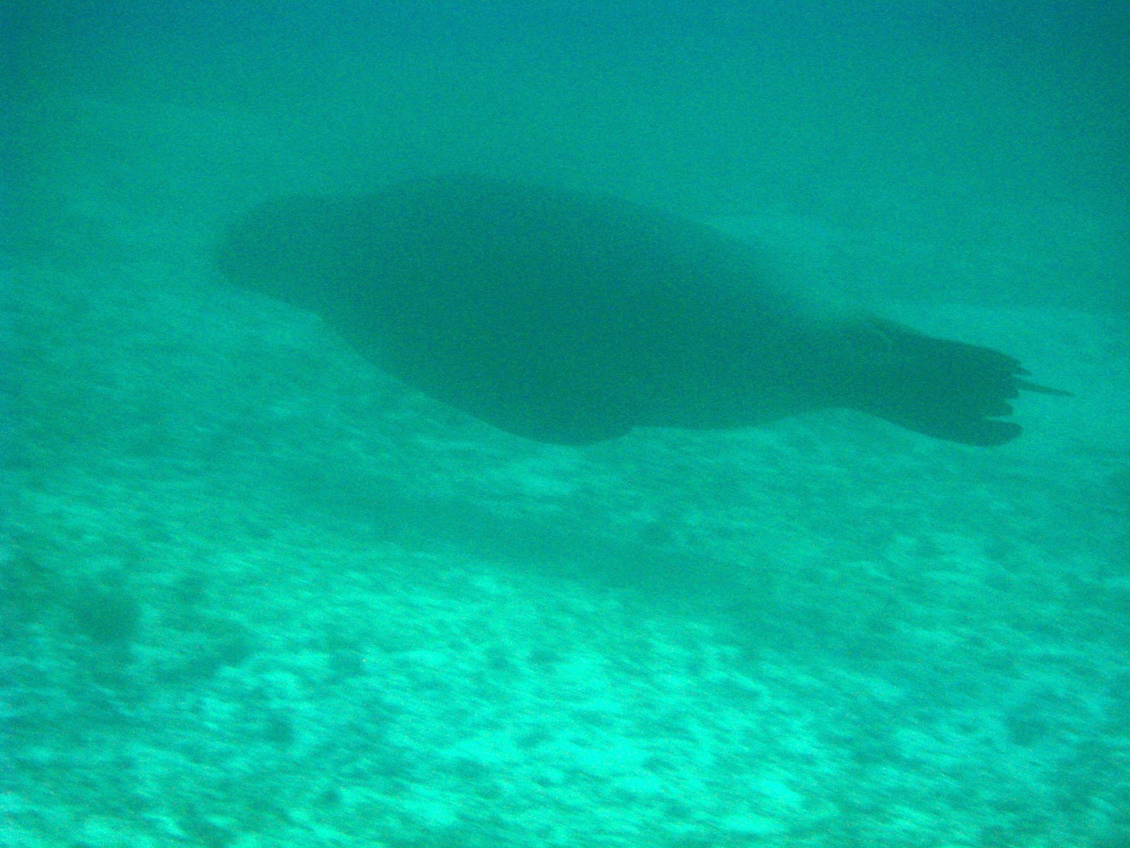 [IMG_62662.jpg]