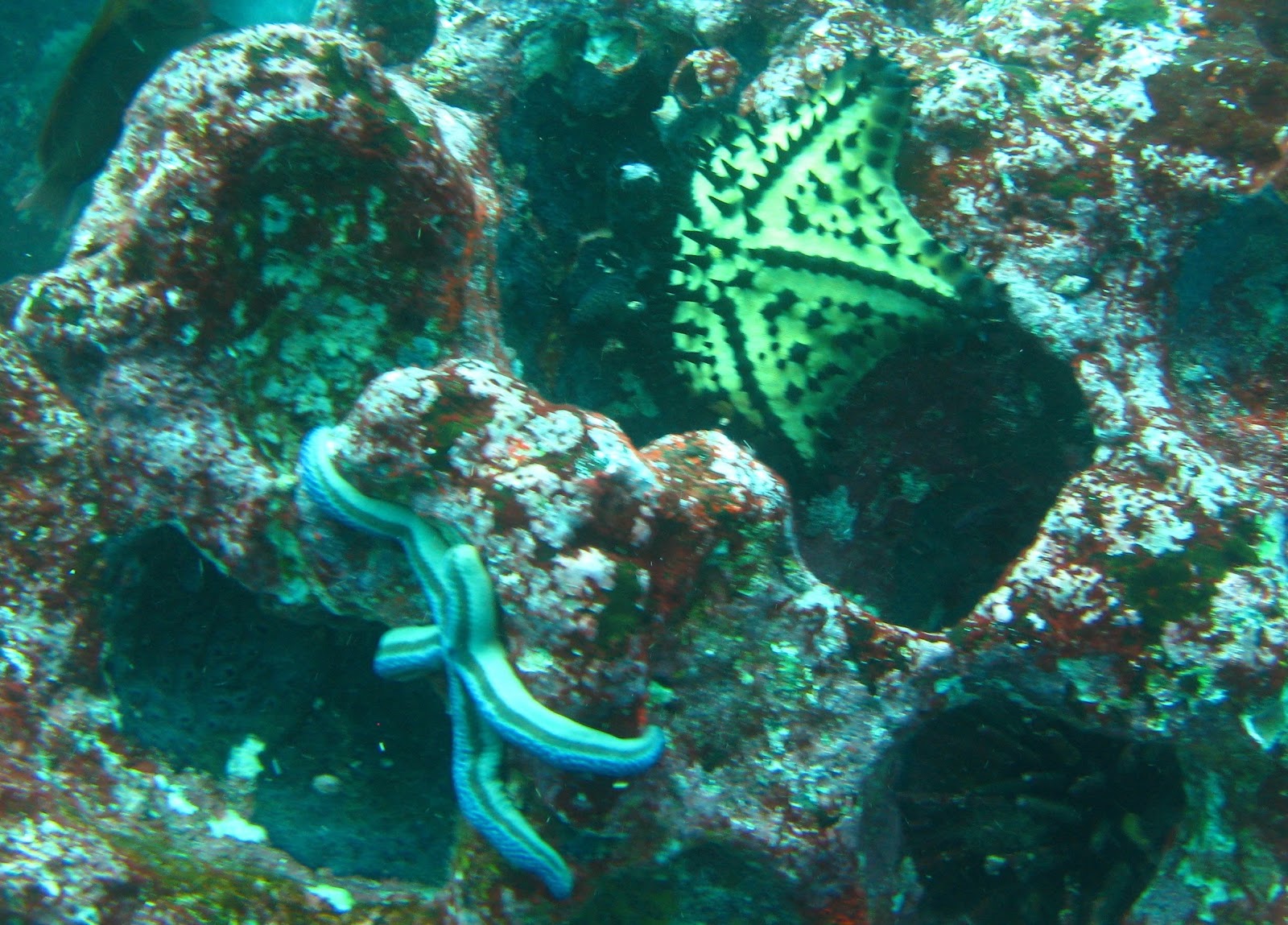 [IMG_63662.jpg]