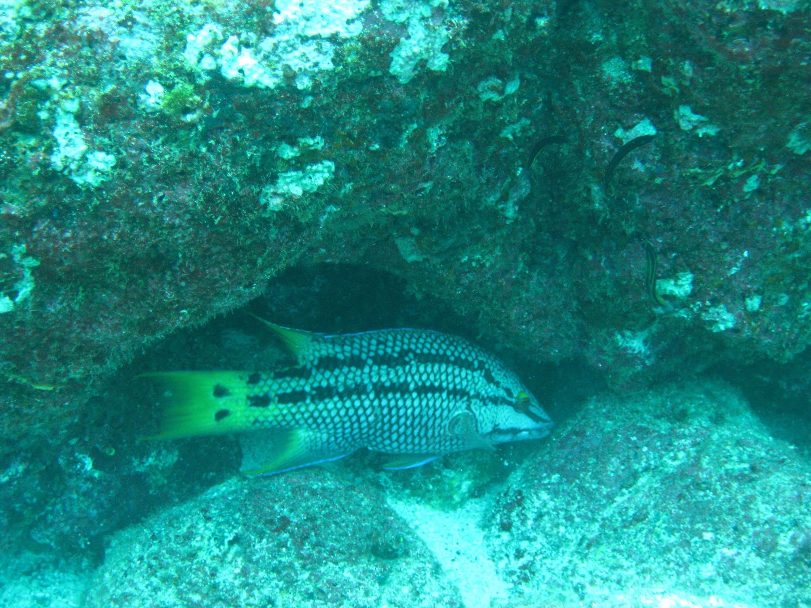[IMG_64032.jpg]