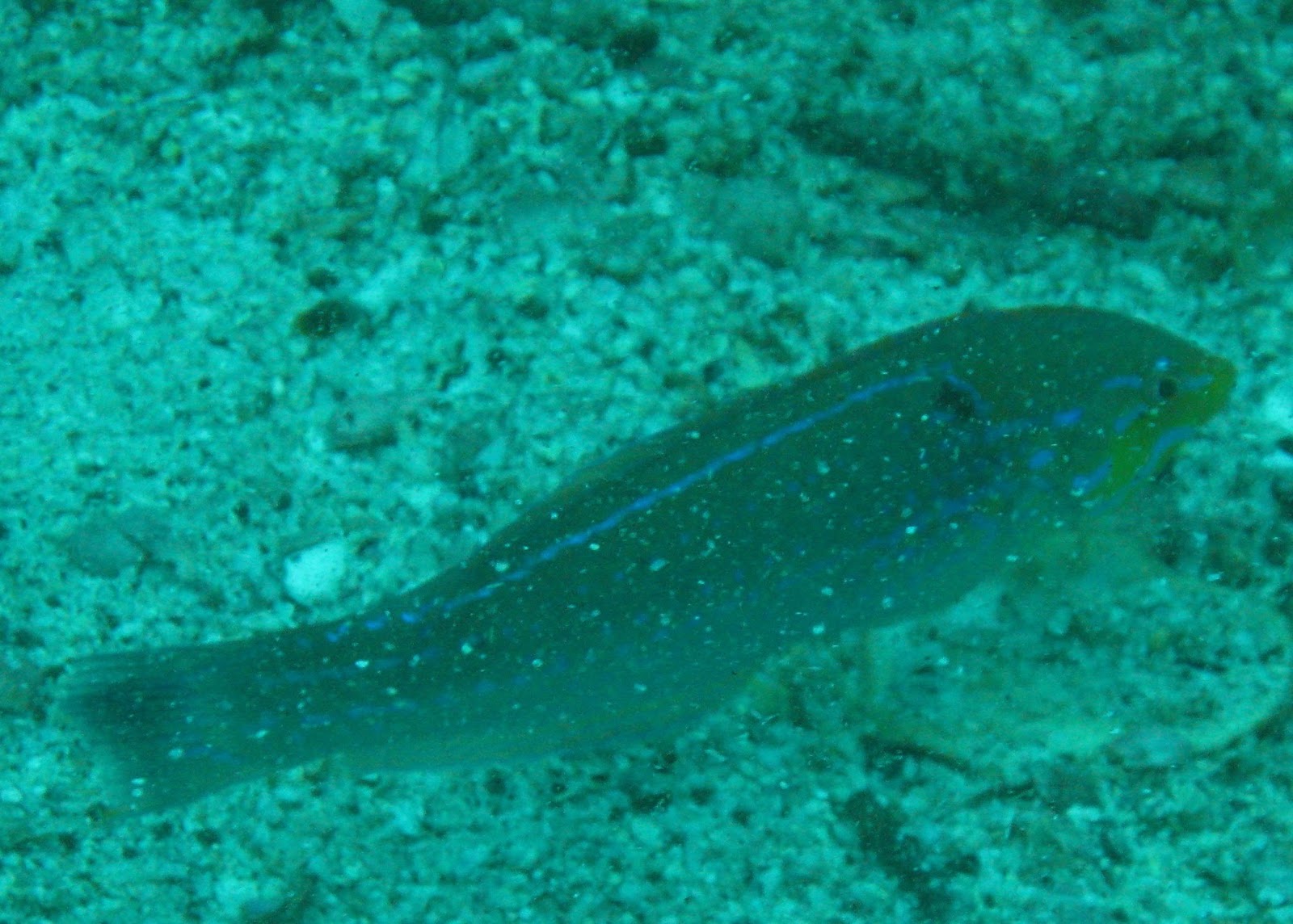 [IMG_63792.jpg]