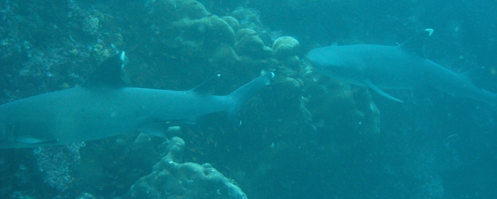 [IMG_64503.jpg]