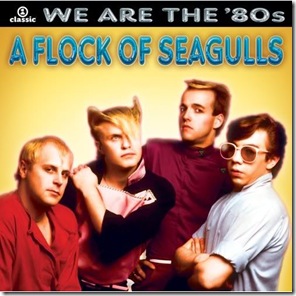 flock of seagulls