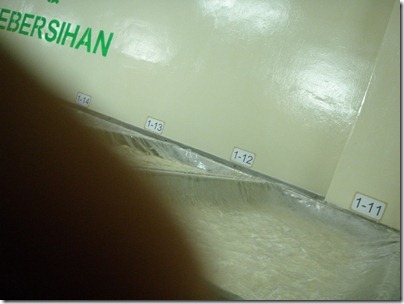 fermentation fermentation