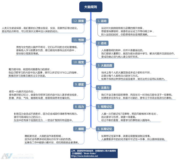 大脑规则.JPG