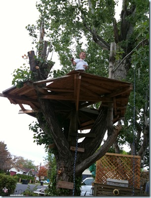 IMG_0550 IMG_0550