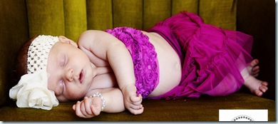 IMG_7746 IMG_7746