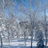 20100118-IMG_0904.jpg