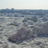 DSC06223.JPG