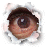 [auge[3].gif]