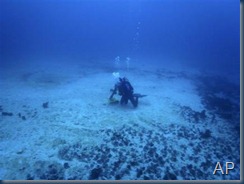 In this photo taken after the April 12 removal of the Shen Neng 1 and provided by the Great Barrier Reef Marine Park Authority, a diver surveys damage to the reef after the Chinese coal carrier Shen Neng 1 ran aground on Australia's Great Barrier Reef on April 3 off Great Keppel Island. Along with the damage to the coral reef globules of oil believed to be from the ship are washing up on a nearby wildlife sanctuary, officials said Wednesday, April 14, 2010. (AP Photo/Great Barrier Reef Marine Park Authority)
