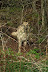 DSCF3553.jpg