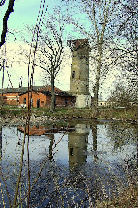 DSCF3566.jpg