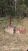 img_0007-0.jpg
