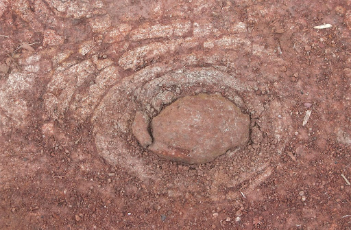 Impresión Digito Pulgar de mi tierra. Autor: Gonzalo Velez