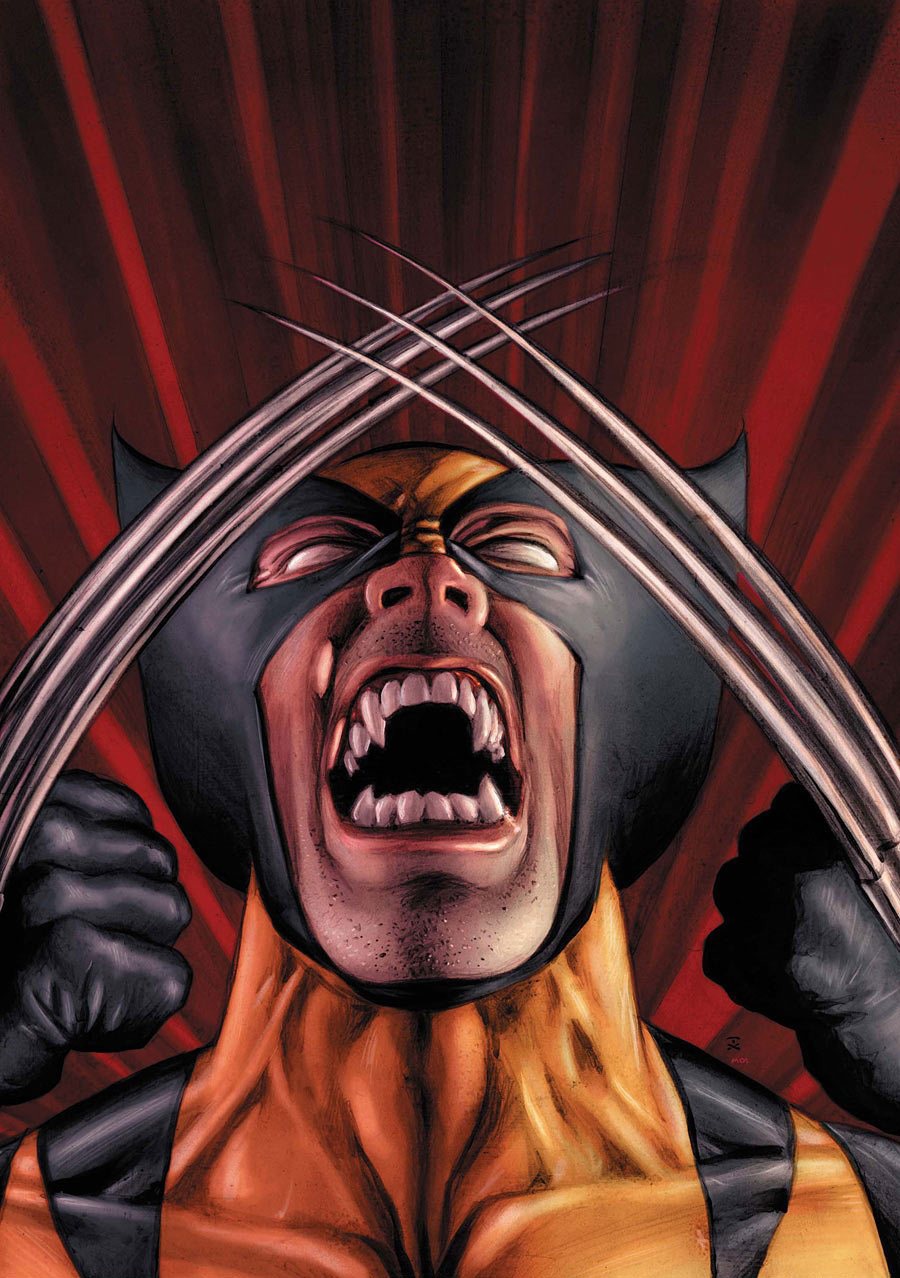 [XMen_Origins_Wolverine2.jpg]