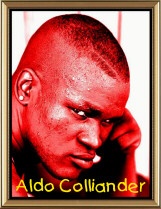 Boxaren Aldo Colliander