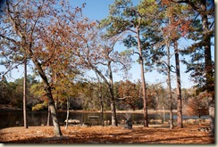 Barnwell SP Office Area  (10)