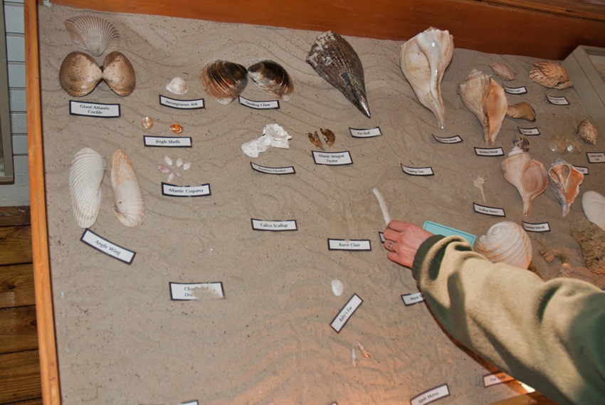 [Nature-Center-Display-Upkeep3.jpg]