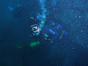 P1010155.jpg