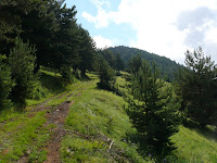Llegando al collado Photo