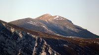 Guara