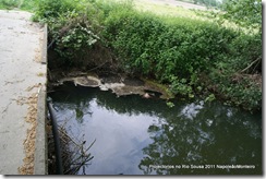 Lousada projeto rios2011, adote 500 metros fotos Napoleão Monteiro
