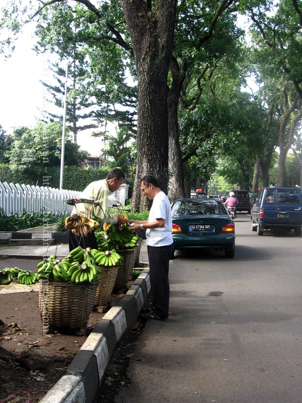 cipaganti travel jakarta