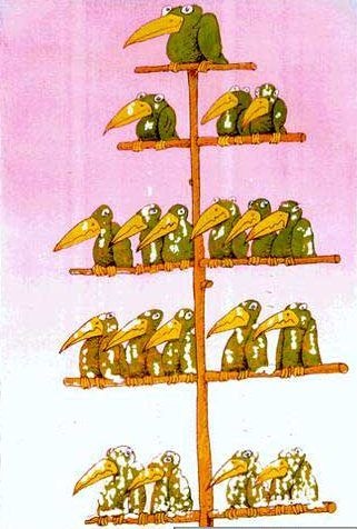 [ORGANIGRAMMA DI MAGGIORANZA[4].jpg]