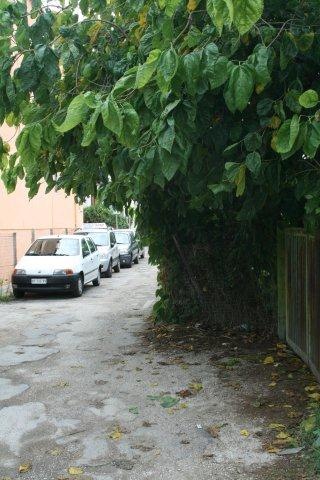 [IMG_3357[4].jpg]