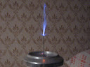 IMG 5595