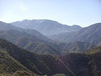 DSC01244.JPG Photo