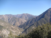 DSC01241.JPG Photo
