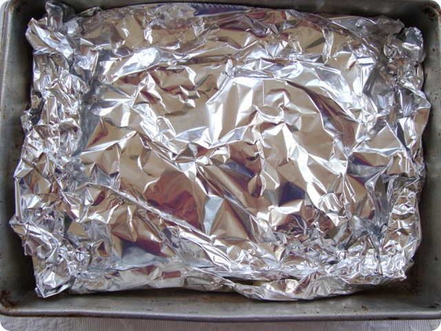 salmon 003