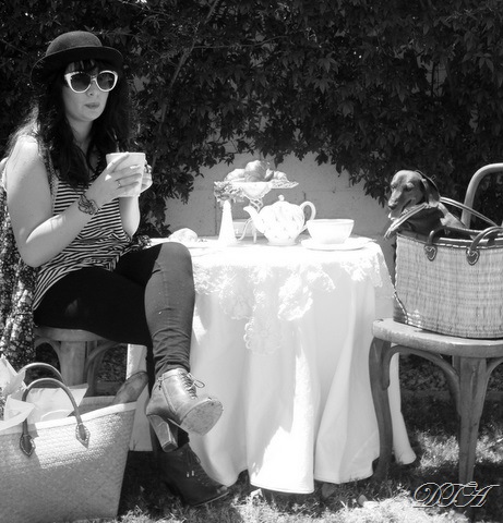 [merci beaucoup 035-1[2].jpg]