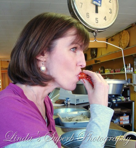 [New Orleans 032[16].jpg]