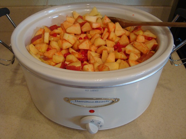 [Metisrose bowl 190[5].jpg]