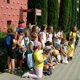 Colonies 20007