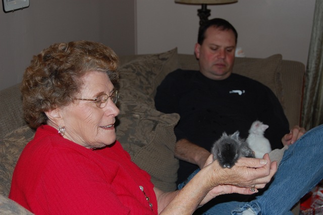 [DSC_3247[3].jpg]