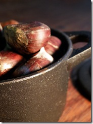 castane3