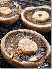 ciupercalagratar2