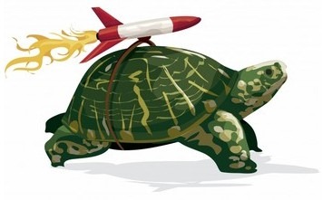[Fast.Turtle[5].jpg]