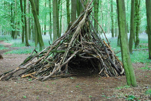 [Beech tipi[3].jpg]