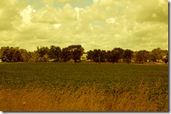 DSC_1278_edited DSC_1278_edited