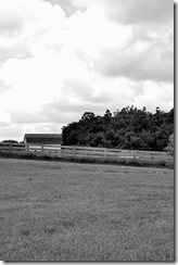 DSC_1285_edited DSC_1285_edited