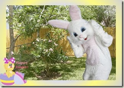 iCaughtEasterbunny iCaughtEasterbunny