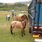 DSC04060.JPG