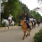DSC04095.JPG