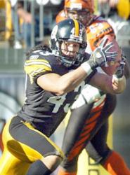 Troy Polamalu images wallpapers